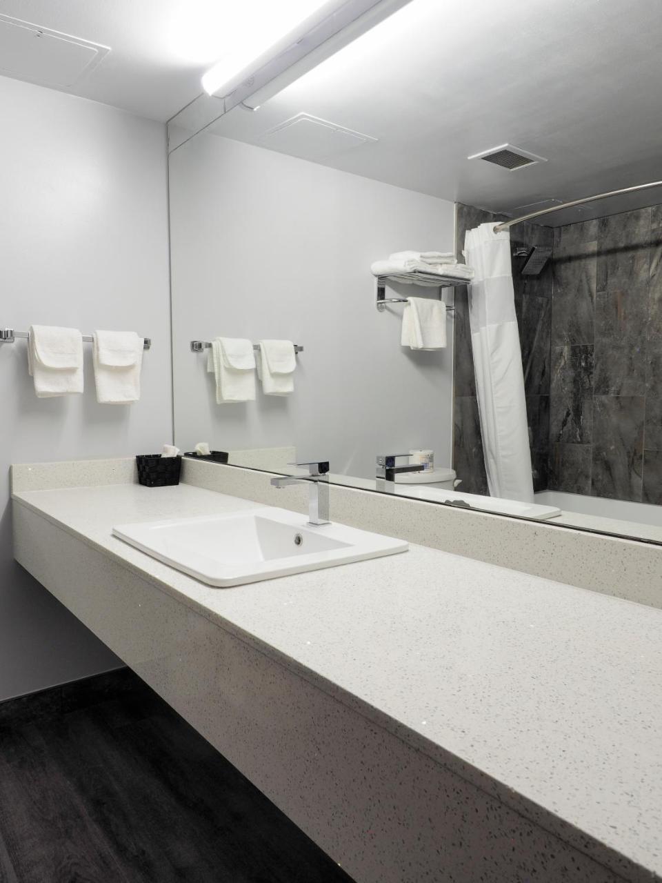 אדמונטון Argyll Plaza Hotel מראה חיצוני תמונה